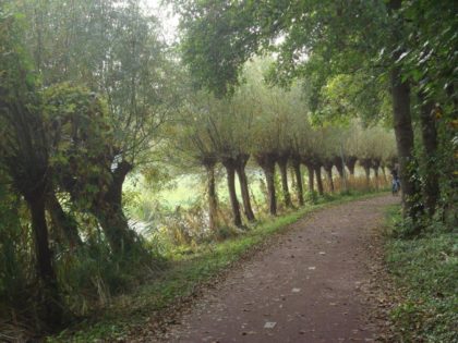 Ouderenmassage zachte behandeling bij Marc Bol