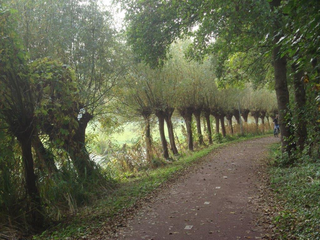 Blog en tips over massage en klachten